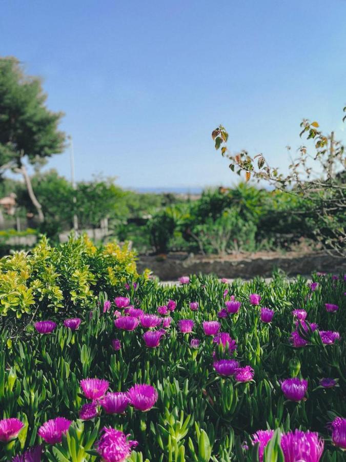 Villa Cocody Bandol Buitenkant foto