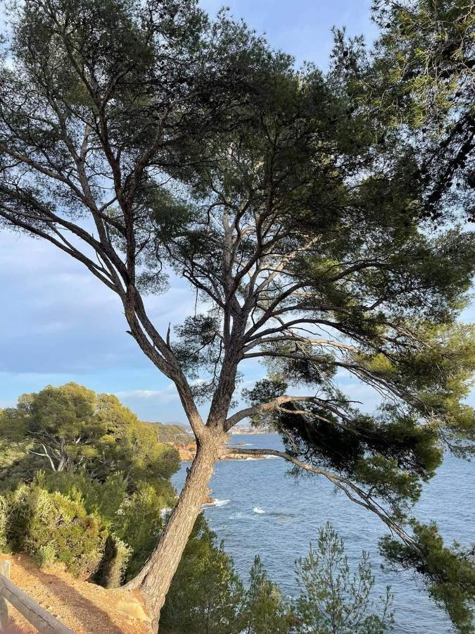 Villa Cocody Bandol Buitenkant foto