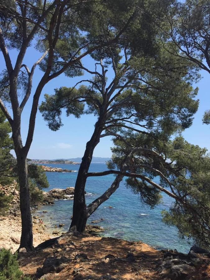 Villa Cocody Bandol Buitenkant foto