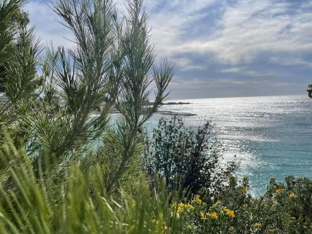 Villa Cocody Bandol Buitenkant foto