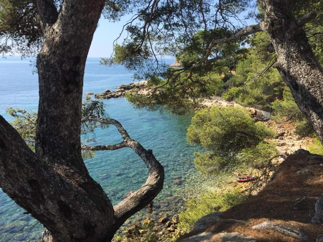 Villa Cocody Bandol Buitenkant foto