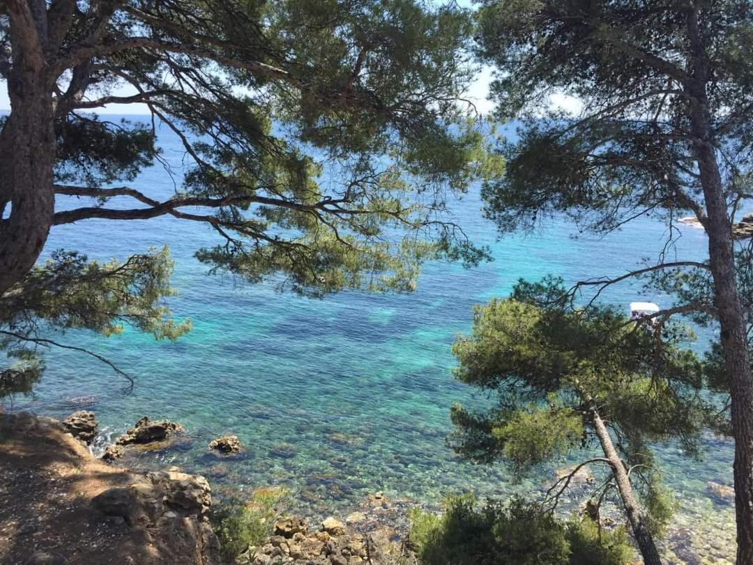 Villa Cocody Bandol Buitenkant foto