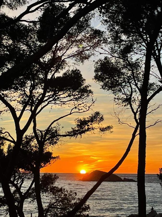 Villa Cocody Bandol Buitenkant foto